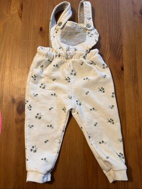 7 For All Mankind Cream Overalls with Green Floral Print